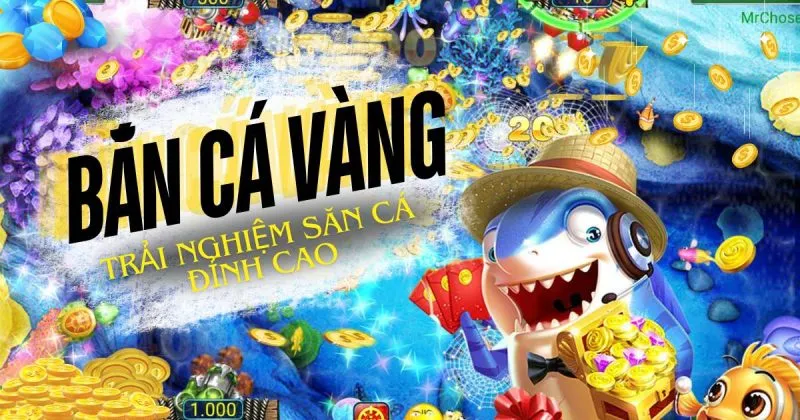 ban-ca-vang